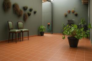 a waiting room with two chairs and potted plants at Praia dos Sonhos - Suítes in Itanhaém