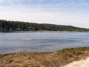 a large body of water with trees in the background at The Bald Seagle in Port Orchard +38 photos