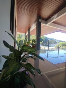 a plant sitting in a room with a balcony at Las Morenas in Nosara