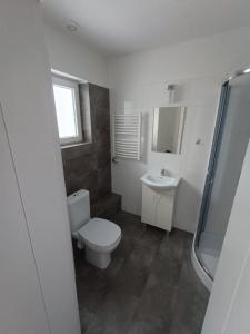 a bathroom with a toilet and a sink at Willa Cieszynianka in Wisła +31 photos