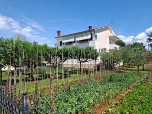 a house behind a fence with a garden of vegetables at Apartment Vesna in Veleniki