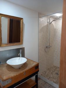 a bathroom with a sink and a shower at La maison in Cruviers-Lascours +1 photo