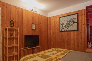 a bedroom with wooden walls and a bed and a television at Prali Ski House - 4beds - Parking - Garden in Prali
