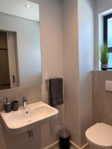 a bathroom with a sink and a toilet and a mirror at Platform 123 - 2 On Tabak with onsite Parking in Paarl +9 photos