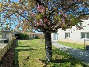 a magnolia tree in the yard of a house at Location des longères in Brux +7 photos