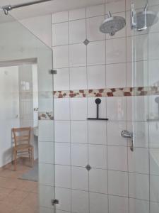 a bathroom with a shower with a glass door at haus nummer fünf - inklusive Chiemgau Karte in Siegsdorf +27 photos