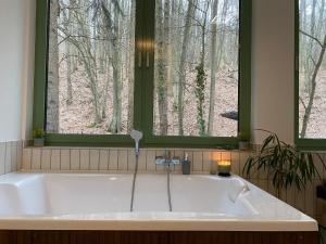 a bath tub in a bathroom with two windows at Mesebeli ház in Kismaros