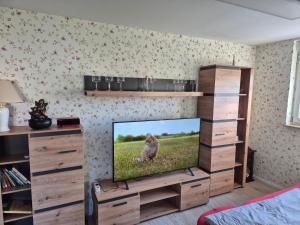 a living room with a television in a entertainment center at Lewitz-Urlaub in Lübesse