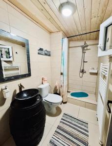 a bathroom with a barrel shower and a toilet at Cabana MARISA in Dărmăneşti +79 photos