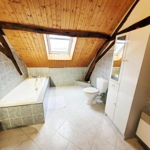 a bathroom with a toilet and a bath tub at Gite De l'Augereau in Céré-la-Ronde +23 photos