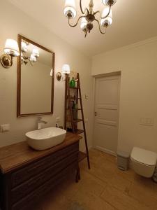 a bathroom with a sink and a mirror and a toilet at Pievų Tako kiemelis in Klaipėda +24 photos