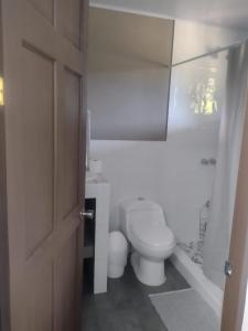 ein weißes Badezimmer mit Toilette und Dusche in der Unterkunft Marea Place in Carrillo