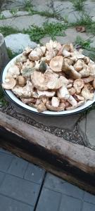 a plate full of mushrooms on a table at Cabana MARISA in Dărmăneşti
