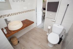 a bathroom with a white toilet and a sink at Villa Sunshine in Biscarrosse-Plage +42 photos