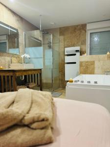 a bathroom with a shower and a sink and a tub at Gîte le Nid Dhugava in Hem-Hardinval