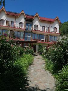 a large building with a pathway in front of it at Cabana Delfinul - Cazanele Dunarii in (( Plavişeviţa ))