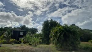 a house with a palm tree in front of a field at Duplex escape in Quartier Palmène