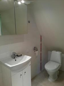 a bathroom with a white sink and a toilet at Lohusalu Apartment in Lohusalu +4 photos