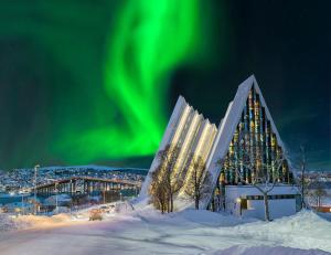 an igloo with a christmas tree and the northern lights at Apartment 3 minutes from cablecar in Tromsø