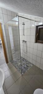 a shower with a glass door in a bathroom at Apartment Residence House in Bihać +39 photos