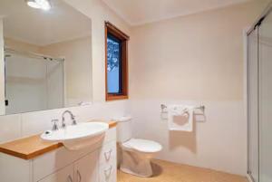 a bathroom with a sink and a toilet and a mirror at Sun Apartments in Mount Hotham +8 photos