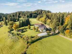 an aerial view of a large house on a green field at Bergwald Panorama Suiten in Scheidegg