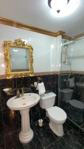 a bathroom with a toilet and a sink and a mirror at Barso Home Puerto Natales in Puerto Natales