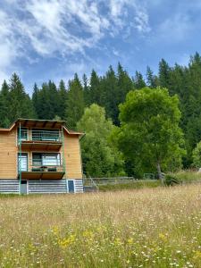 a house in the middle of a field at Гойра in Verkhniy Yasenov