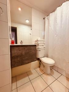 a white bathroom with a toilet and a shower at Deptos En Centro De Santiago in Santiago +39 photos
