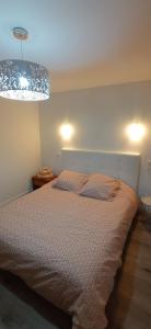 a bedroom with a bed and a chandelier at Compostelle Chemin Garazi in Uhart-Cize