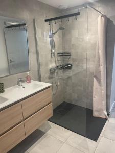 a bathroom with a shower with a sink and a mirror at Compostelle Chemin Garazi in Uhart-Cize +23 photos