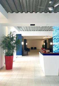 an office lobby with a plant in the middle at Commodore Suites in Simpson Bay