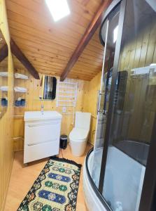 a bathroom with a toilet and a sink and a shower at Гойра in Verkhniy Yasenov +38 photos