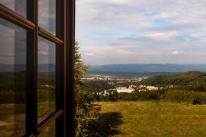 Příroda nedaleko hotelu