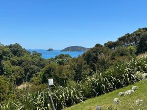 a view of the ocean from a hill with plants at Aroha A-Frames - Bush & Beach Retro Retreat in Coromandel Town