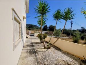 a sidewalk with two palm trees next to a building at Vivenda Do Relaxo '' Relax Villa " in Freiria