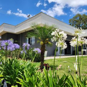 ein Haus mit einer Palme im Hof in der Unterkunft Refúgio Ibiúna in Ibiúna