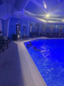 a person swimming in a swimming pool at night at Evergreen Escapes 4 BR with Game Room, Firepit near Kalahari and Camelback in Long Pond