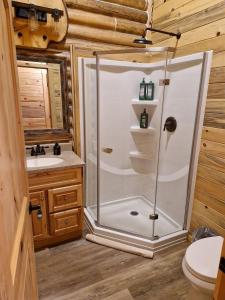 a bathroom with a shower and a toilet and a sink at Alaska Knotty Pine Whole Building in Palmer +41 photos