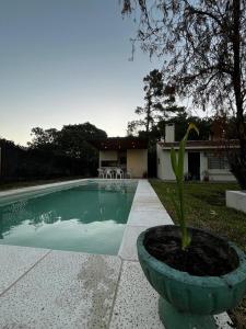 a plant in a pot next to a swimming pool at Casa con pileta Funes in Funes
