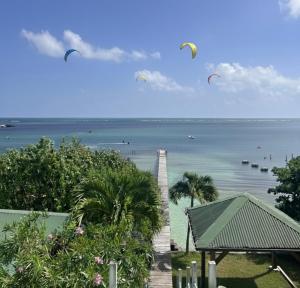 a group of kites flying over a body of water at Caribbean Lotus in Le François +5 photos