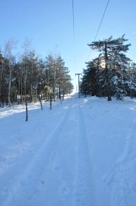Apartments Varga en invierno