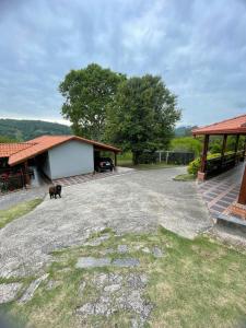 a driveway with a dog standing next to a building at Sítio encantador com piscina e lazer completo in São Roque