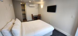 a hotel room with a bed and a television at Waikato Hospital Motel in Hamilton