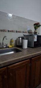 a kitchen counter with a sink and a microwave at La Guarida 3 in Concepción