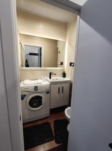 a bathroom with a washing machine and a sink at Smart Loft Studio Center Walking street in Chişinău