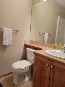 a bathroom with a toilet and a sink at Quaint Lonsdale Suite in Red Deer +20 photos