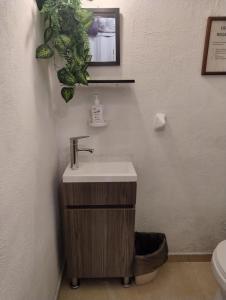 a bathroom with a sink and a toilet at Bungalow Turrent, a 5 minutos de Playa Mocambo in Veracruz