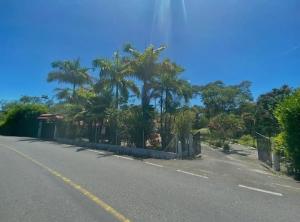 a street with palm trees on the side of a road at Finca Turística VILLA NELLA in Acacías