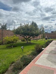 a garden with a tree and a brick wall at Hesed Hospedaje in Riobamba